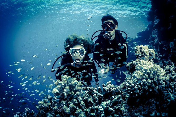 Try Scuba Dive (baptism of the sea) - Who will enjoy this experience most?