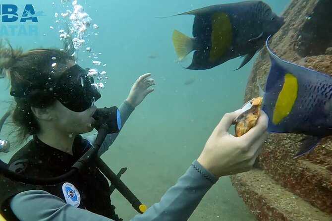 Try Scuba dive in Qatar - The first 10 to 30 minutes: getting ready