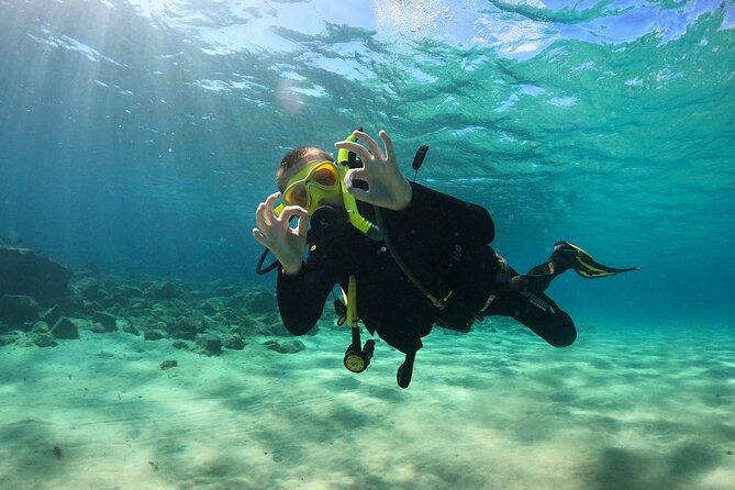 Try Scuba Diving | 1 dive - Price and overall value at $108.37