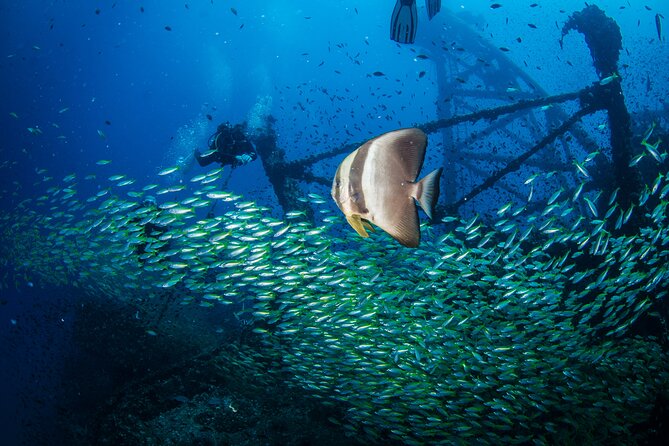 Try Scuba Diving 2 Dives Bang Bao - Food, drinks, and the long break between sessions