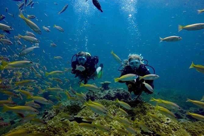 Try Scuba Diving - Why This Koh Tao Experience Works For Beginners