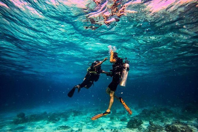 Try Scuba Diving - Who Will Enjoy This Most