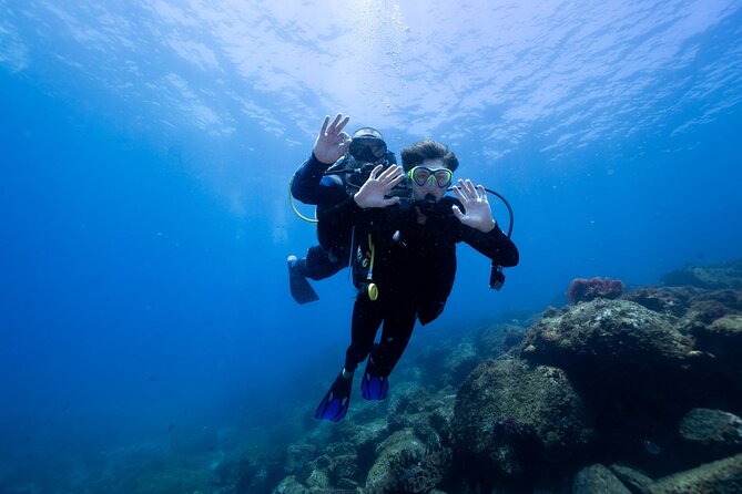 Try Scuba Diving at Cook Island – Guided Ocean Dive with Turtles - Why Cook Island is a good first ocean experience
