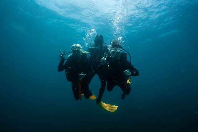 Try Scuba Diving at Cook Island – Guided Ocean Dive with Turtles - How the instructor support changes the experience
