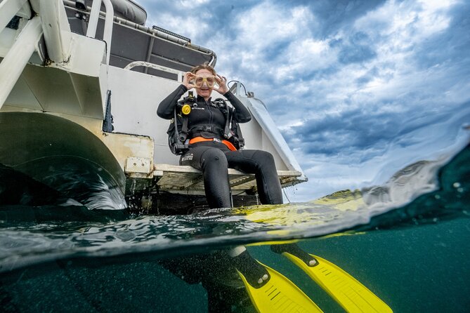 Try Scuba Diving at Cook Island – Guided Ocean Dive with Turtles - Equipment, photos, and what to bring