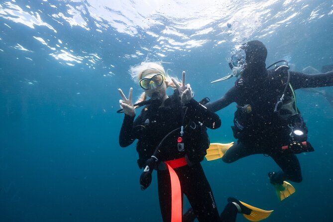 Try Scuba Diving at Cook Island – Guided Ocean Dive with Turtles - Is $192.94 fair for six hours?