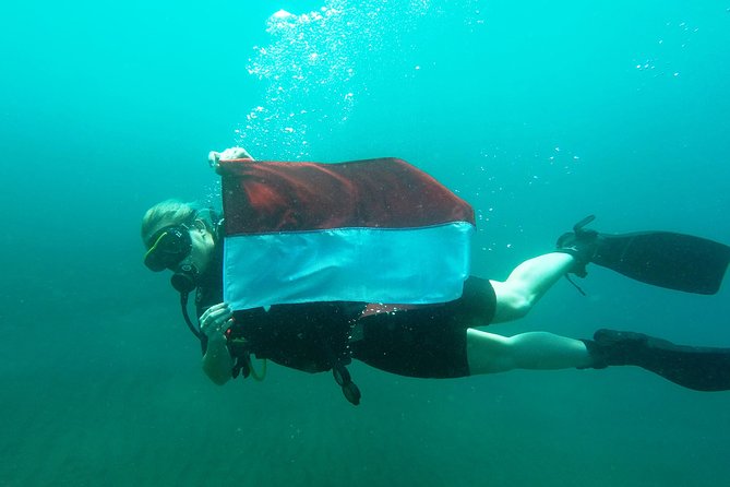 Try Scuba Diving at Tulamben Shipwreck - A 7 a.m. start from Bali’s south coast