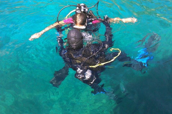Try Scuba Diving! - Crikvenica/ Krk island - From Crikvenica harbor to the Krk area