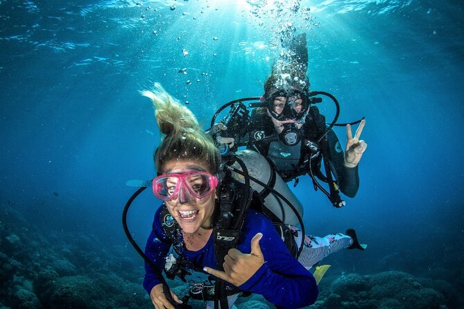 Try Scuba Diving Experience in Fujairah - Key points before you book