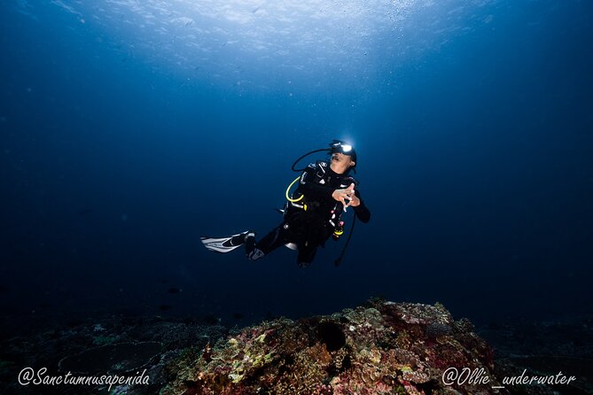 Try Scuba Diving for Beginners with manta rays (Non - Certified) - Timing, weather, and possible changes