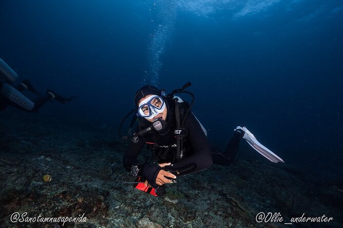Try Scuba Diving for Beginners with manta rays (Non - Certified) - The Sanctum Dive Center meeting point