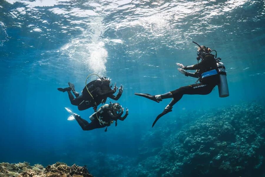 Try Scuba Diving from Boat in Budva - Budva Diving Center - Why this Budva scuba trip works for beginners