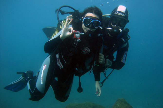 Try Scuba Diving in a turtle area (boat) - What this Costa Adeje scuba session is really like