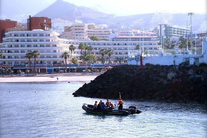 Try Scuba Diving in a turtle area (boat) - Why the $84.66 price can be good value