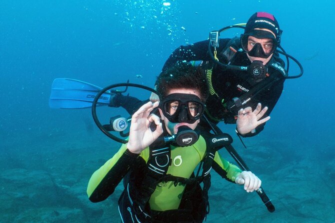 Try Scuba Diving in a turtle area (boat) - Starting at Zero Gravity near Puerto Colón