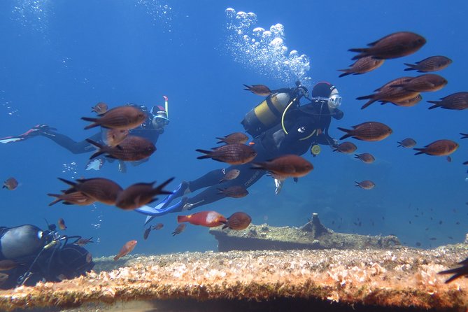 Try Scuba Diving in Amorgos - Key points to know before booking