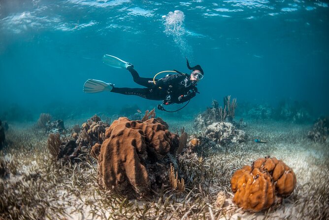 Try Scuba Diving in Amorgos - Is $108.14 good value?