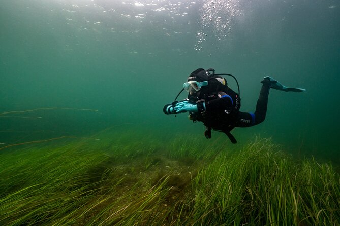 Try Scuba Diving in Galway, Ireland - Why Coral Strand Works for a First Scuba Session