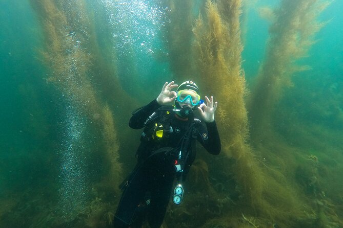 Try Scuba Diving in Galway, Ireland - Health, Weather, and Comfort