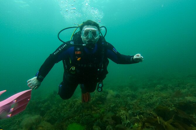 Try Scuba Diving in Galway, Ireland - Who Will Get the Most From This Experience?