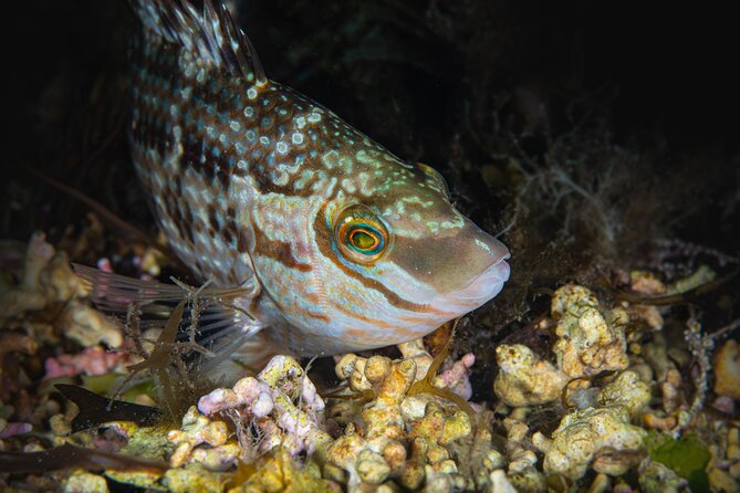 Try Scuba Diving in Galway, Ireland - What Happens During the Two-Hour Session