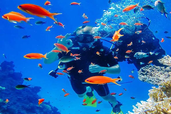 Try Scuba Diving In Havlock - Starting early at SeaShell in Govind Nagar