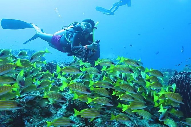 Try Scuba Diving In Havlock - Learning the basics before entering the water