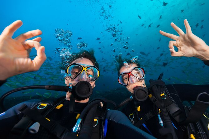 Try Scuba Diving in Kauai From a Boat: No Experience Necessary - Key Things to Know Before You Book