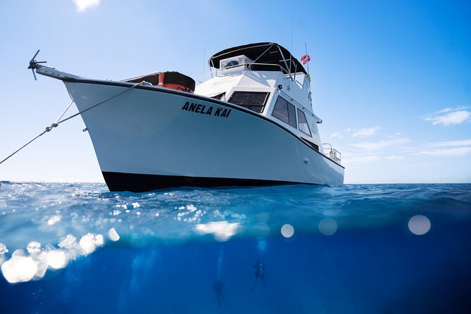 Try Scuba Diving in Kauai From a Boat: No Experience Necessary - The Harbor Lesson: Breathing, Signals, and Safety