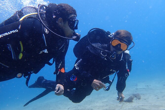 Try Scuba Diving in Lanzarote (No experience needed) - What makes this Lanzarote experience appealing
