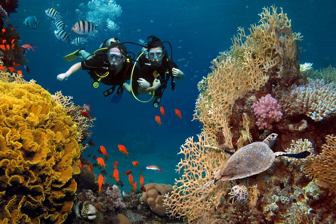 Try Scuba Diving in Racha Yai and Noi for Non-Certified - Key points at a glance