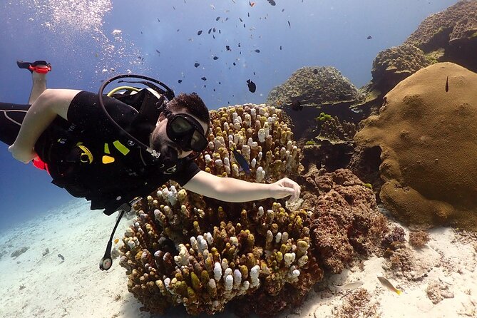 Try Scuba Diving in Racha Yai and Noi for Non-Certified - What the day at Racha Yai looks like