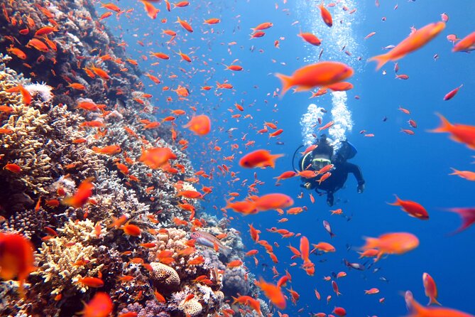 Try Scuba Diving in Racha Yai and Noi for Non-Certified - What you eat on the boat