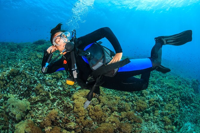 Try Scuba Diving in Racha Yai and Noi for Non-Certified - Weather, cancellations, and practical planning