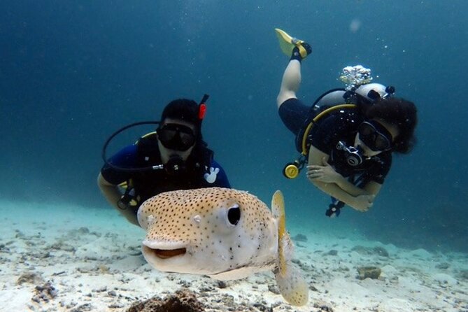 Try Scuba Diving in Racha Yai and Noi for Non-Certified - Getting comfortable before entering the water