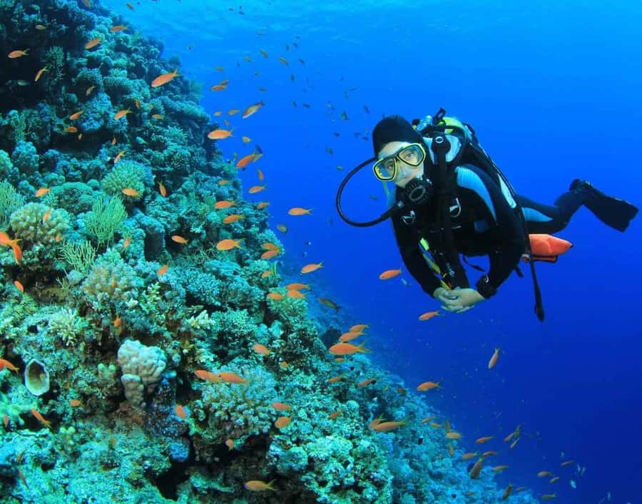 Try Scuba Diving in Racha Yai/noi: 2 Dives for Non-Certified - Key points to know before booking