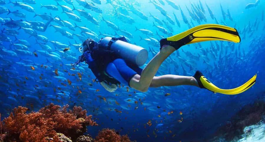 Try Scuba Diving in Racha Yai/noi: 2 Dives for Non-Certified - What happens during the two underwater sessions