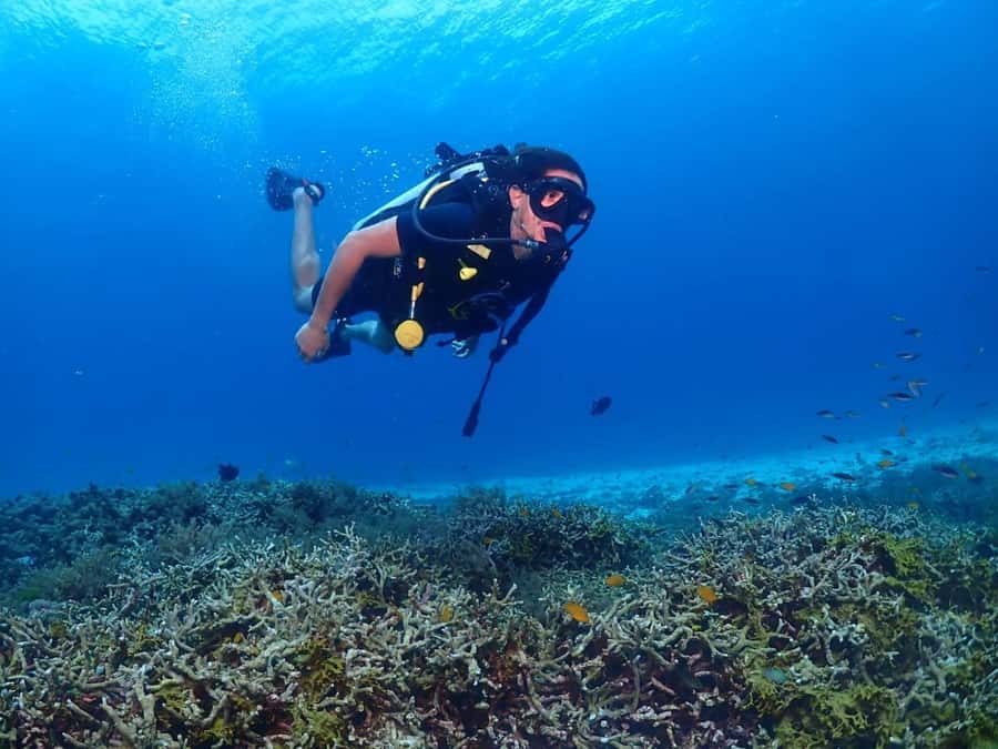 Try Scuba Diving in Racha Yai/noi: 2 Dives for Non-Certified - Who should book this experience