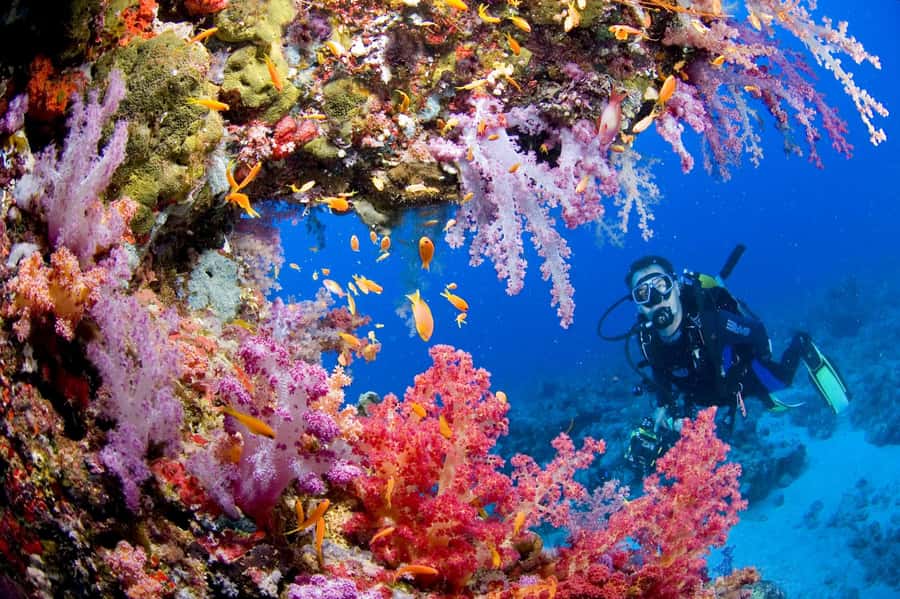 Try Scuba Diving in Racha Yai/noi: 3 Dives for Non-Certified - A full day from Phuket to Racha Island