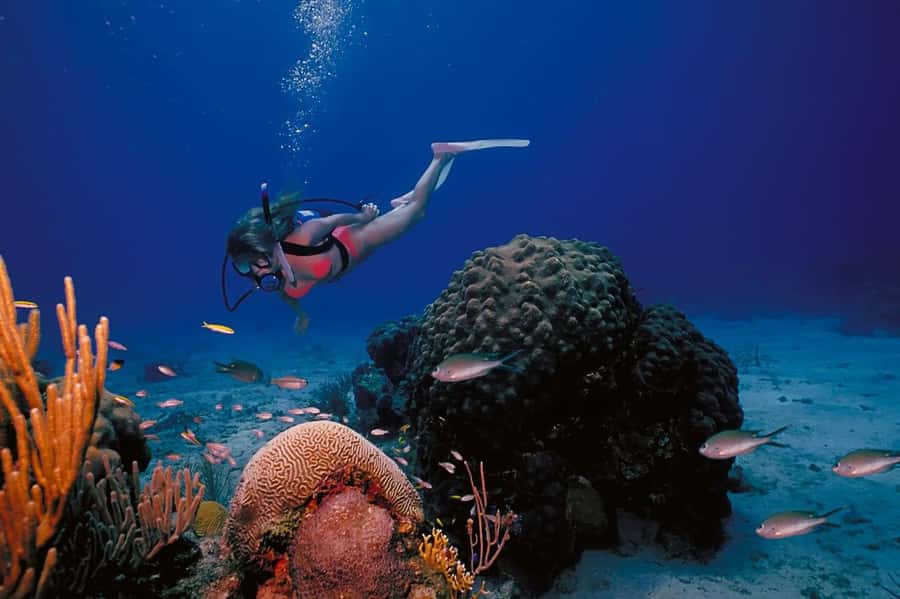 Try Scuba Diving in Racha Yai/noi: 3 Dives for Non-Certified - Three sessions, with food and rest between them