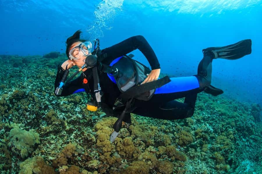 Try Scuba Diving in Racha Yai/noi: 3 Dives for Non-Certified - Racha Yai and Racha Noi offer variety