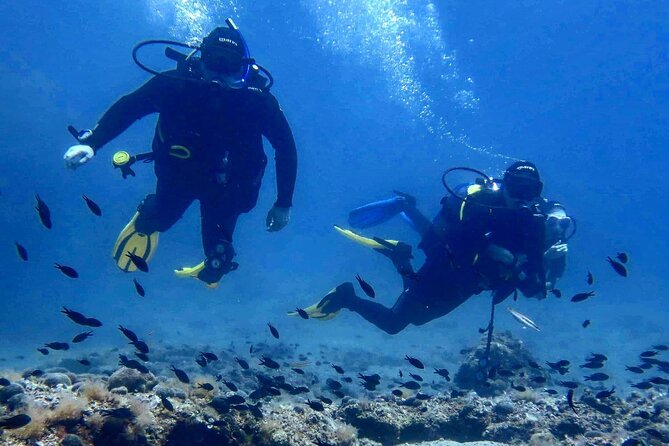 Try Scuba Diving in Split - Key points to know before booking