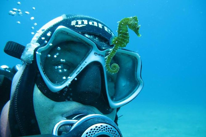 Try Scuba Diving in Split - What your three hours in Split look like