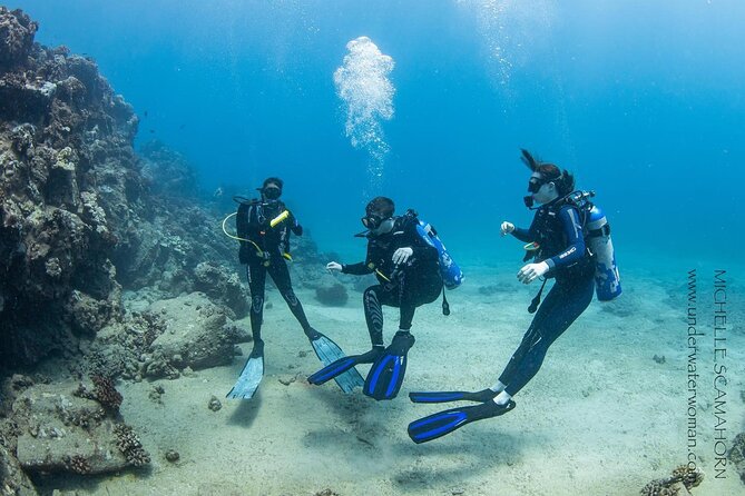 Try Scuba Diving on Kaua’i with Sea Turtles - Key points to know before booking