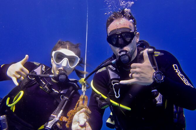 Try Scuba Diving on Kaua’i with Sea Turtles - Is $665 a fair price?