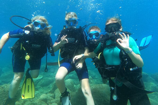 Try Scuba Diving Puerto Colon - Meeting Tenerife’s underwater wildlife
