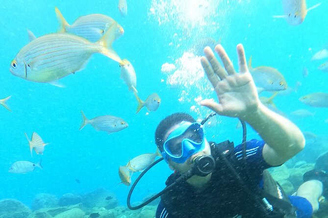 Try Scuba Diving Puerto Colon - The limits of a two-hour experience
