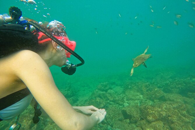 Try Scuba Diving & snorkeling with BBQ lunch in Fujairah - Moving into open water