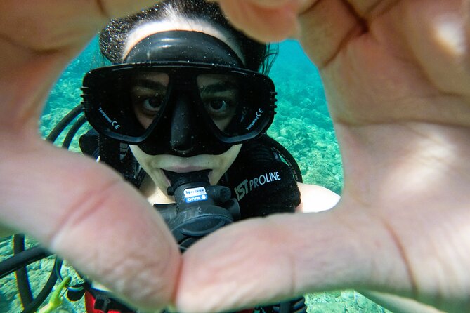 Try Scuba Diving & snorkeling with BBQ lunch in Fujairah - Underwater pictures add real value