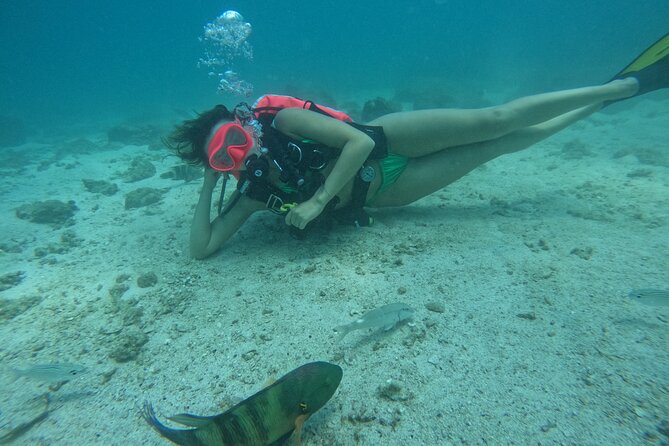 Try Scuba Diving & snorkeling with BBQ lunch in Fujairah - Starting at Reef Oasis Diving Center